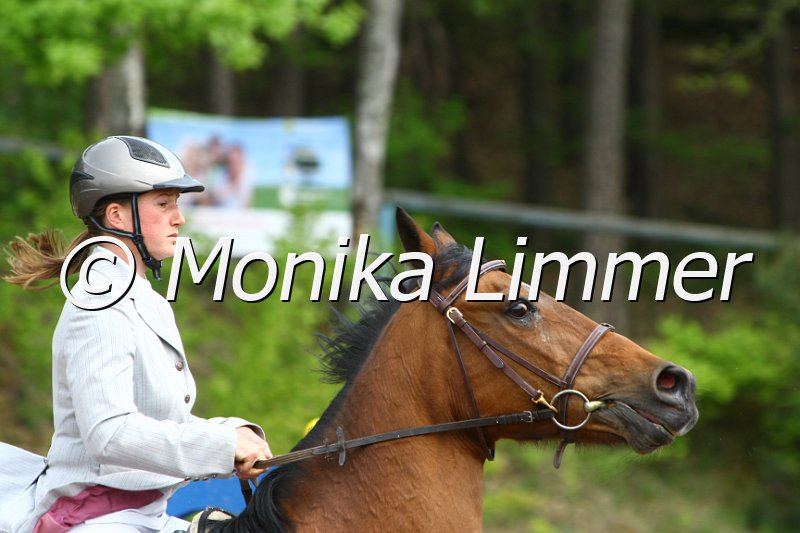 104M3450_Arielle_Punkte L.JPG